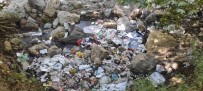 Piknikçiler Yiyip Içip, Geride Çöp Yiginlari Birakip Gitti Haberi