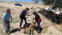 Yolcunun Çay Molasi Kuyuya Düsen Koyunu Kurtardi Haberi