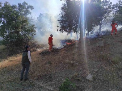 Bingöl'de Iki Ayri Bölgede Çikan Yanginlar Söndürüldü