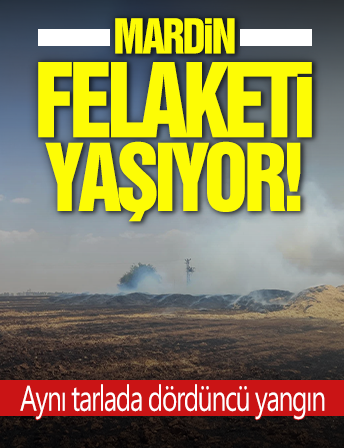 Mardin felaketi yaşıyor! Aynı tarlada dördüncü yangın