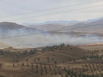 Siirt'te Aniz Yakma Yasagi Haberi