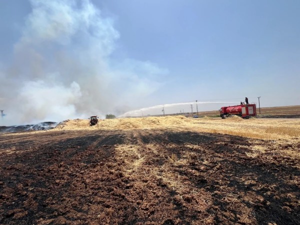 Mardin felaketi yaşıyor! Aynı tarlada dördüncü yangın