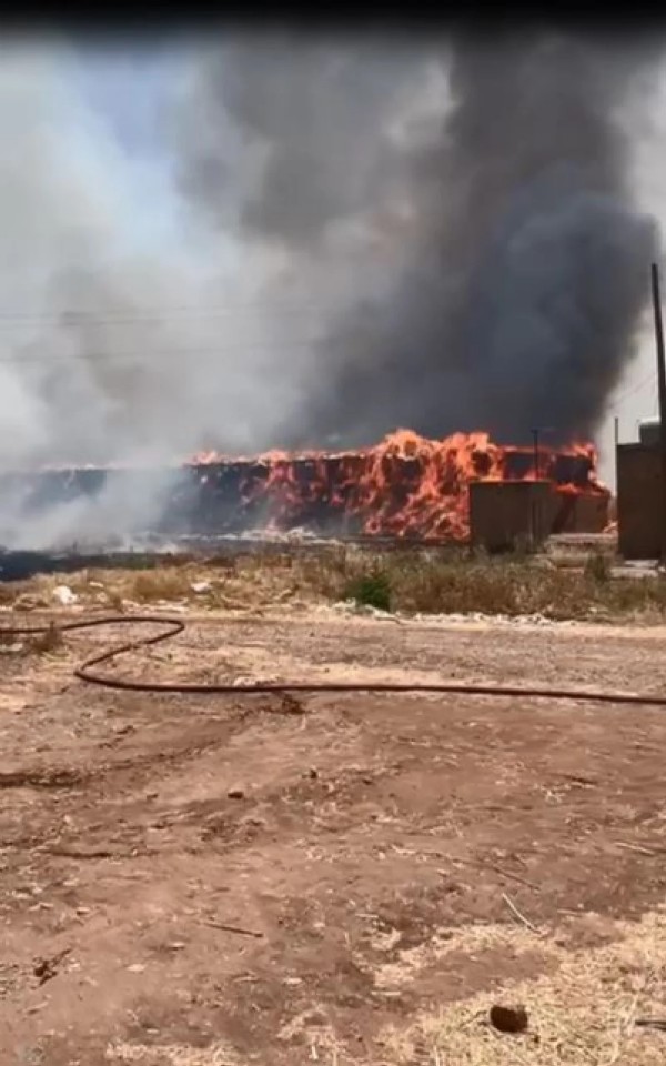 Mardin felaketi yaşıyor! Aynı tarlada dördüncü yangın