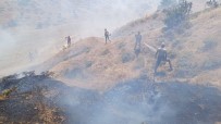 Bingöl'de Çikan Orman Yangini Söndürüldü Haberi