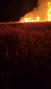 Elektik Direginden Çikan Kivilcim Ekili Alani Küle Çevirdi