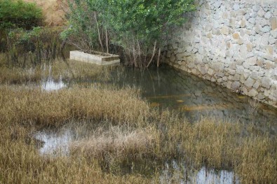 Gümüshane'de Her Yil Sular Altinda Kalan 50 Mezarlik Tasinacak