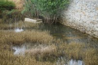 Gümüshane'de Her Yil Sular Altinda Kalan 50 Mezarlik Tasinacak