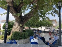 Kavurucu Sicaga Çözüm 259 Yillik Dogal Klima