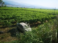 Otomobil Üzüm Bagina Uçtu, Sürücü Ölümden Döndü