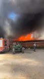 Tokat'ta Ahir Ve Samanlik Alevlere Teslim Oldu Haberi
