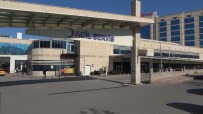 Yilanin Soktugu Kisi Hastaneye Kaldirildi
