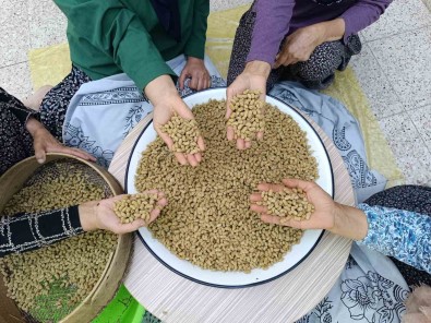 Cografi Isaretli Ulukale Dutu, Tunceli'nin Köyünden Çikip Dünyaya Ihraç Ediliyor