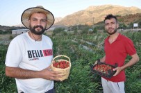 Devlet Destegiyle Tütüne Alternatif Olarak Ürettikleri Çilekleri Devletin Zirvesine Ulastirmanin Mutlulugunu Yasadilar Haberi