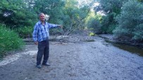 Kurakligin En Net Fotografi Açiklamasi Yüzüp Balik Tuttuklari Nehirde Simdi Yürüyerek Geziyorlar