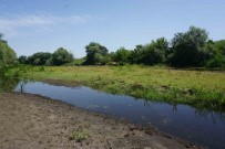 Tunca Nehri'nde Kuraklik Alarmi Açiklamasi Bölge Üreticisi Endiseli