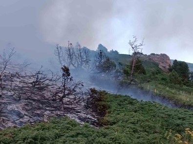 Tunceli'de Agaçlik Alanda Yangin