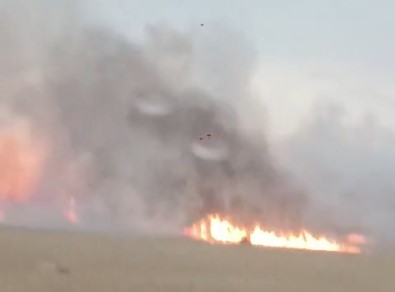 Eskisehir'de 50 Dönüm Ekili Bugday Kül Oldu