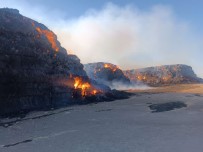 On Binlerce Ton Saman Balyasi Kül Oldu