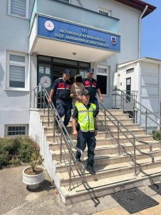 Yalova Ve Istanbul'da Hapis Cezalari Nedeniyle Aranan 2 Zanli Yakalandi