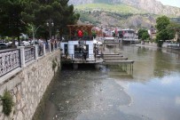 Amasya'da Yesilirmak Nehri'nde Balik Ölümleri Açiklamasi Balik Tutanlar 'Zehirli Olabilir' Diye Uyarildi