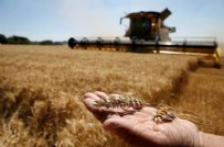 Bakan Yumaklı'dan çiftçileri sevindirecek haber! Başvuru tarihi belli oldu: Yüzde 75'e varan hibe desteği...