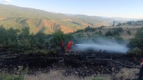 Bingöl'deki Orman Yangini Büyümeden Söndürüldü Haberi