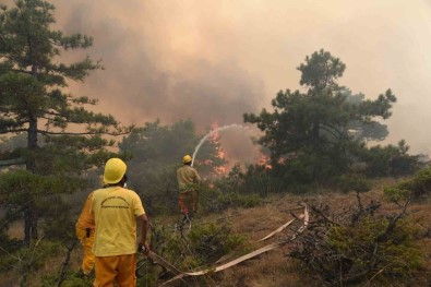 Ormanlik Alanlara Girisler Yasaklandi