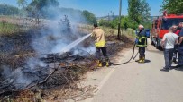 Sinop'ta Kuru Dallar Yandi, Elektrik Diregi Zarar Gördü