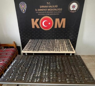 Sirnak'ta Asayis Ve Kaçakçilik Operasyonu Açiklamasi 53 Süpheliye Adli Islem Yapildi