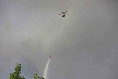 Antalya'daki Orman Yangini 4,5 Saatte Kontrol Altina Alindi