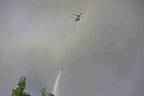 Antalya'daki Orman Yangini 4,5 Saatte Kontrol Altina Alindi