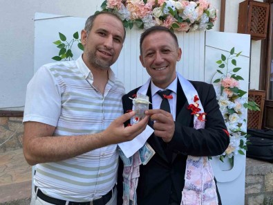 Gelin Ve Damada Taki Olarak Safran Takildi