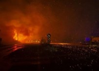 İzmir Menderes ve Selçuk’ta orman yangını: Facianın boyutu gün ağarınca ortaya çıktı!