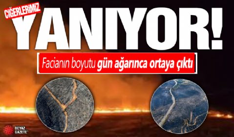 İzmir Menderes ve Selçuk’ta orman yangını: Facianın boyutu gün ağarınca ortaya çıktı!