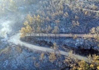 İzmir Selçuk ve Menderes'te orman yangınları! Yerleşim noktalarında risk yok, şüpheliler gözaltında