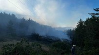 Kastamonu'da Orman Yangini Açiklamasi 2 Hektarlik Alan Zarar Gördü