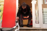 Kendi Yemeyip Yavrularina Yiyecek Götüren Anne Kediye Kasap Sefkati