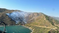 Marmaris'teki Orman Yangininda 5 Hektar Alan Zarar Gördü