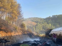 Ortaca'daki Yanginda 2 Sera Zarar Gördü