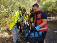 Siirt'te Sarampole Yuvarlanan Otomobilin Sürücüsü Hayatini Kaybetti Haberi