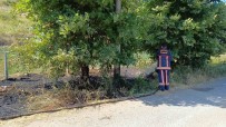 Yalova Çinarcik'ta Arazi Yangini Haberi