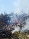 Yalova'da Arazi Yangini Haberi