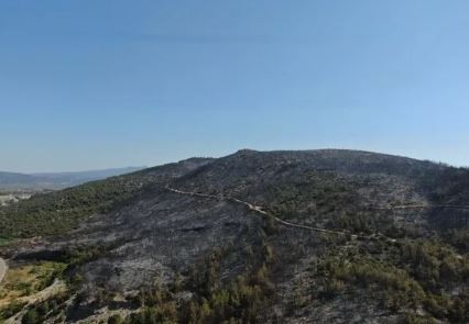 Menderes, Selçuk ve Susurluk yangınları kontrol altında