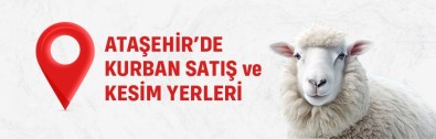 Atasehir'de 5 Nokta 'Kurban Satis Ve Kesim Alani' Olarak Belirlendi