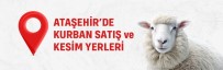Atasehir'de 5 Nokta 'Kurban Satis Ve Kesim Alani' Olarak Belirlendi