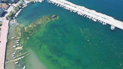 'Marmara'nin Incisi' Çinarcik'ta Denizin Içler Acisi Hali