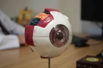 Miyopta 'Gün Isigi' Açiklamasi Açiklamasi 'Engel Olacak Ciddi Bir Faktör'