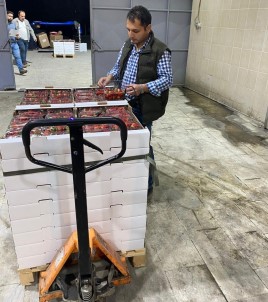 Söke'de 1 Ayda Bin 256 Ton Tarimsal Ürün Ihraç Edildi