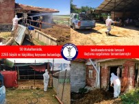 Tavas Belediyesi 50 Mahallede 2. Tur Ilaçlamalarina Basladi