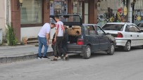 Araçtan Yayilan Gaz Kokusu Panige Yol Açti